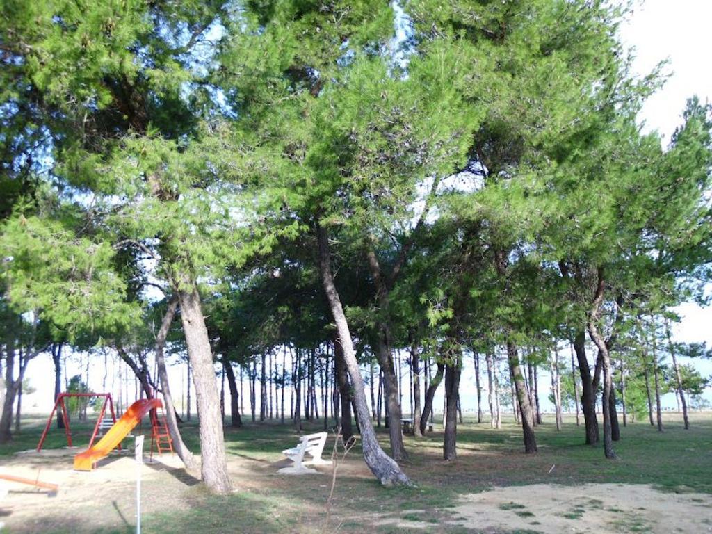Apartment Dujlovic *